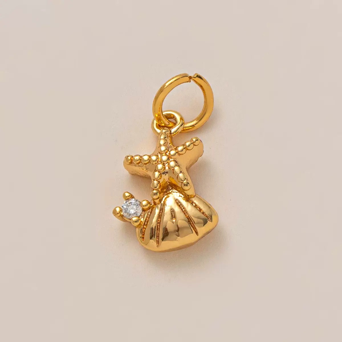 Seastar and shells