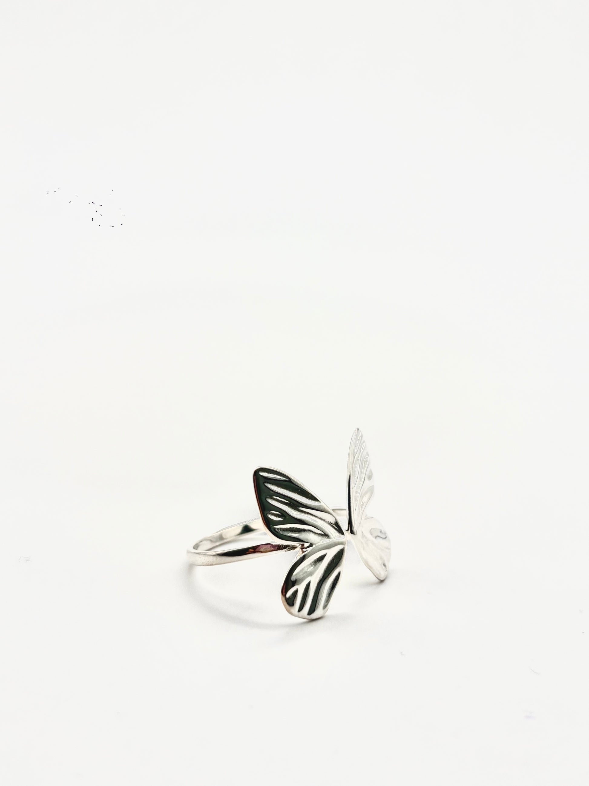 Silver Butterfly